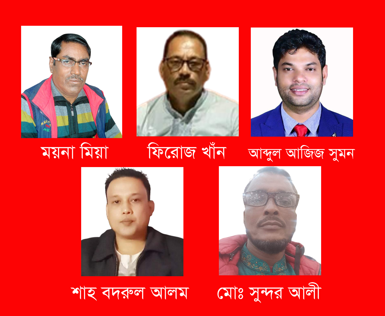 <strong>বিশ্বনাথ উপজেলা পরিবহন শ্রমিক ঐক্য জোটের উপদেষ্ঠা কমিটি গঠন</strong>