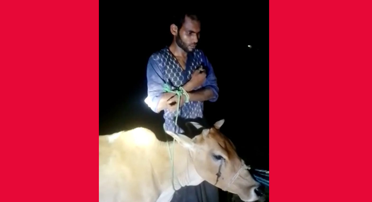 বিশ্বনাথে হাতেনাতে গরুসহ চোর আটক