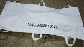 বিশ্বনাথে সড়ক দুর্ঘটনায় অটোরিকশা সিএনজি চালকের মৃত্যু