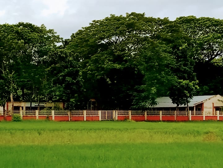 বিশ্বনাথে একশ ২২ বছরের প্রাথমিক বিদ্যালয়ে নেই নতুন ভবন: ঝরাঝির্ণ ভবনে চলছে পাঠদান