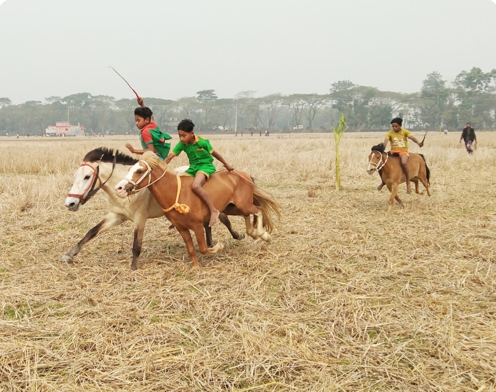 বিশ্বনাথে চিরায়ত বাংলার ঘোড়ার দৌড় প্রতিযোগিতা অনুষ্ঠিত