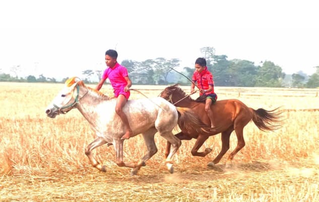 বিশ্বনাথে ঘোড় দৌঁড় প্রতিযোগীতা অনুষ্ঠিত