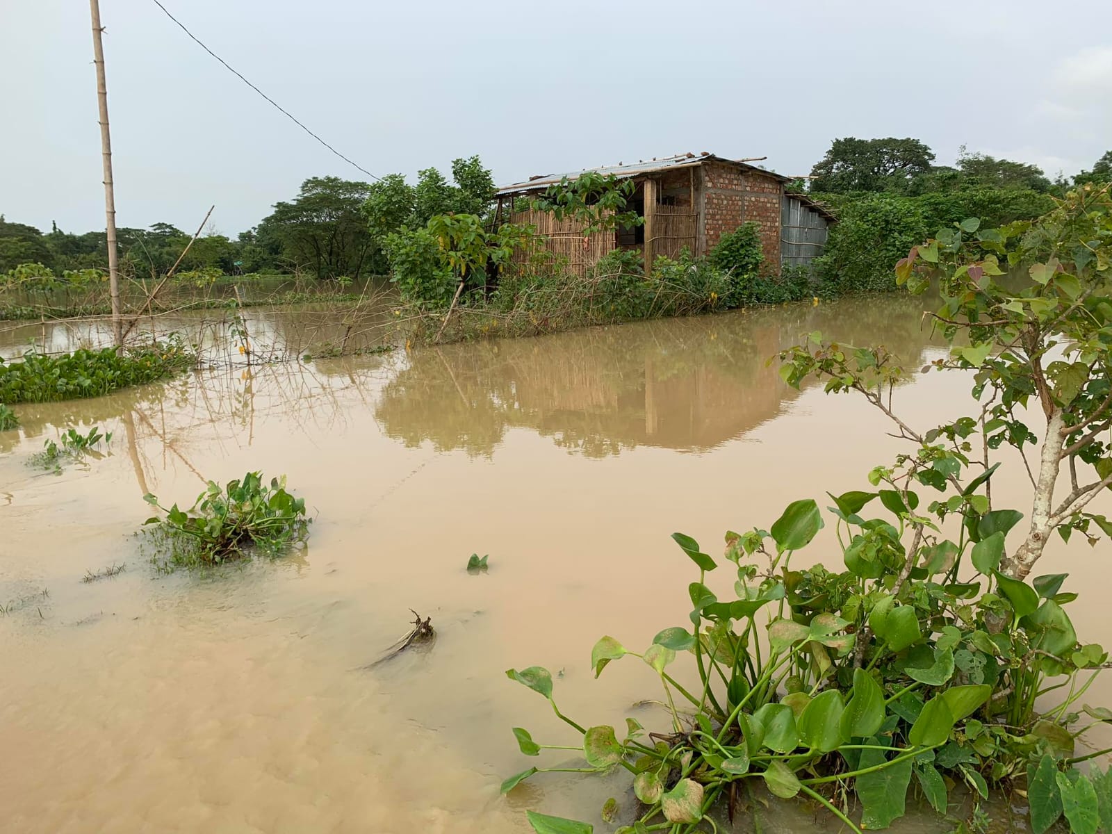 বন্যার পানিতে নিমজ্জিত কৃষকের স্বপ্ন