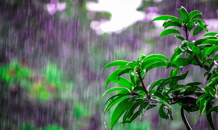 তিন বিভাগে ভারী বৃষ্টির আভাস