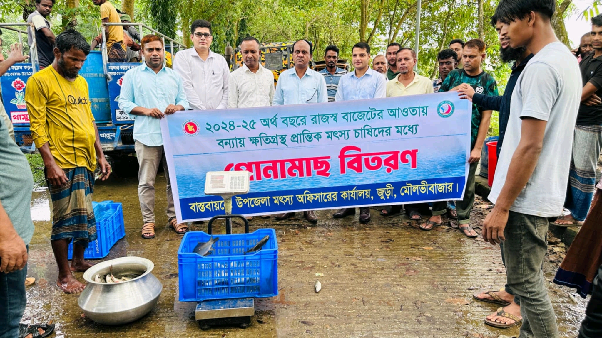জুড়ীতে পোনা মাছ বিতরন 