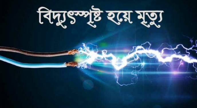 বিশ্বনাথে বিদ্যুৎপৃষ্টে বৃদ্ধার মৃত্যু